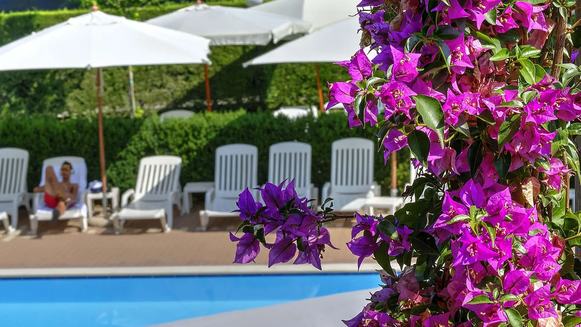 Flaminio Village Bungalow Park Rome Campsite